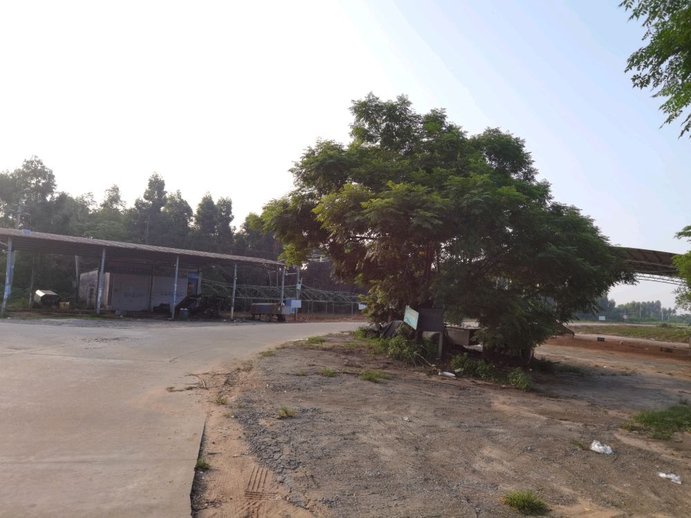 朝辉果蔬合作社农副产品收购加工场