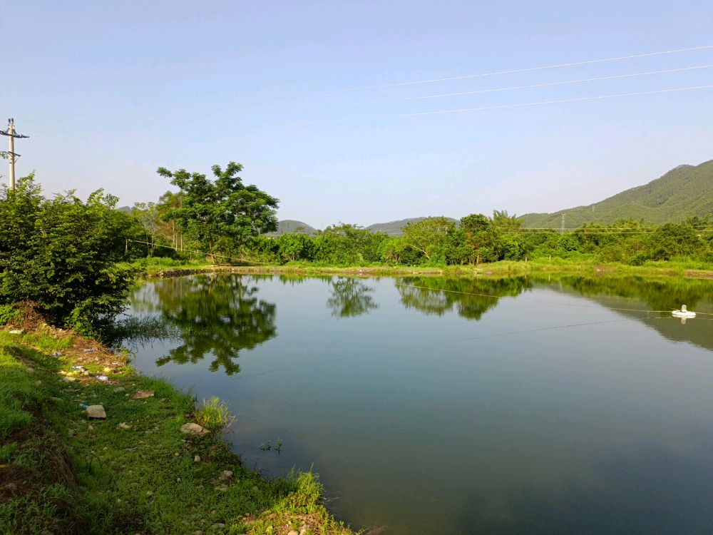 留垌钓鱼场