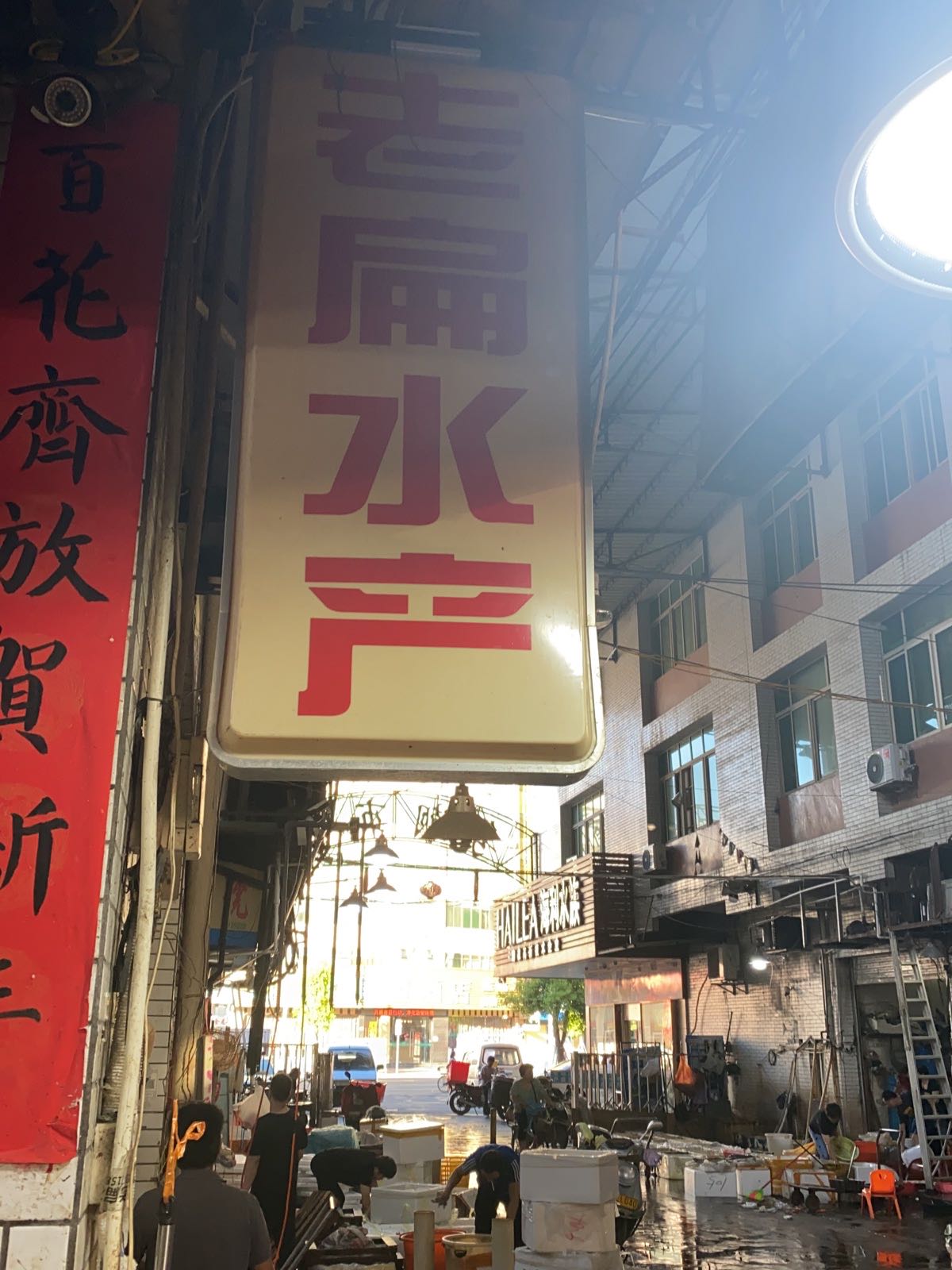 老扁水产
