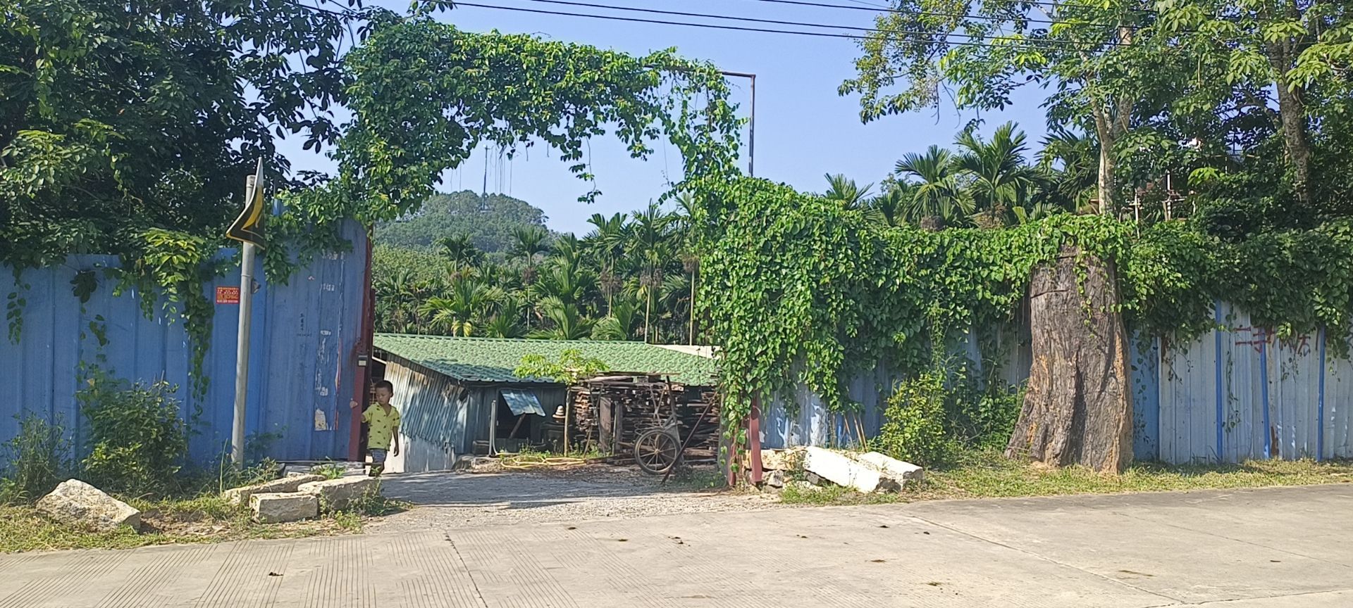 屯昌县纳百川纯木家具厂