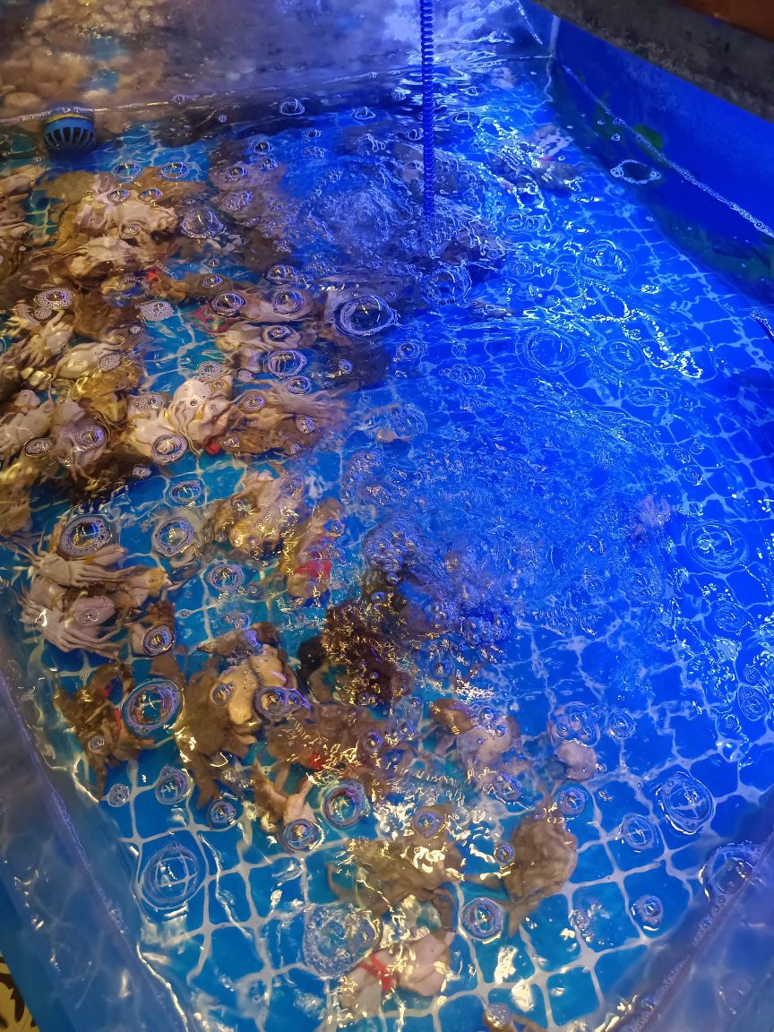 海蓝湾佰选海鲜自助餐厅(淮北店)