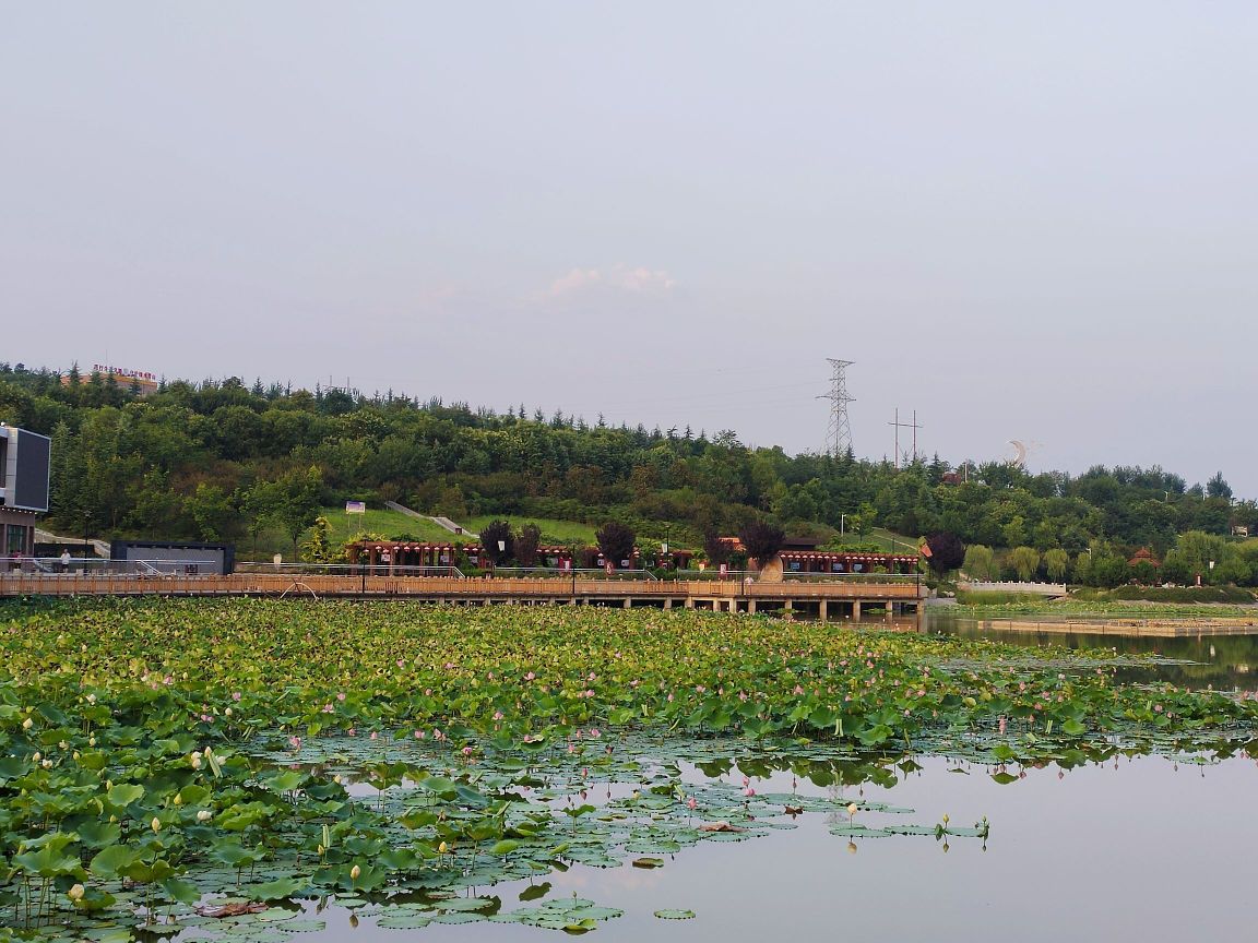 莽山公园(兴平市东城街道莽山路)