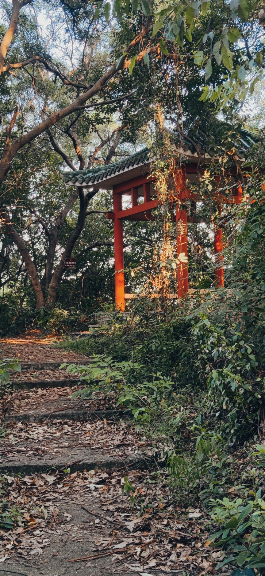 小浮莲休闲登山径