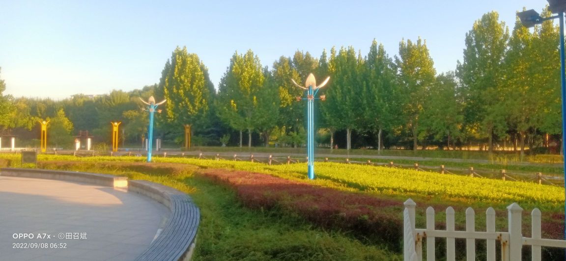 少海公园
