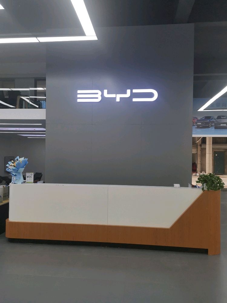 比亚迪骑车海洋网(重庆开州睿迪城展店)