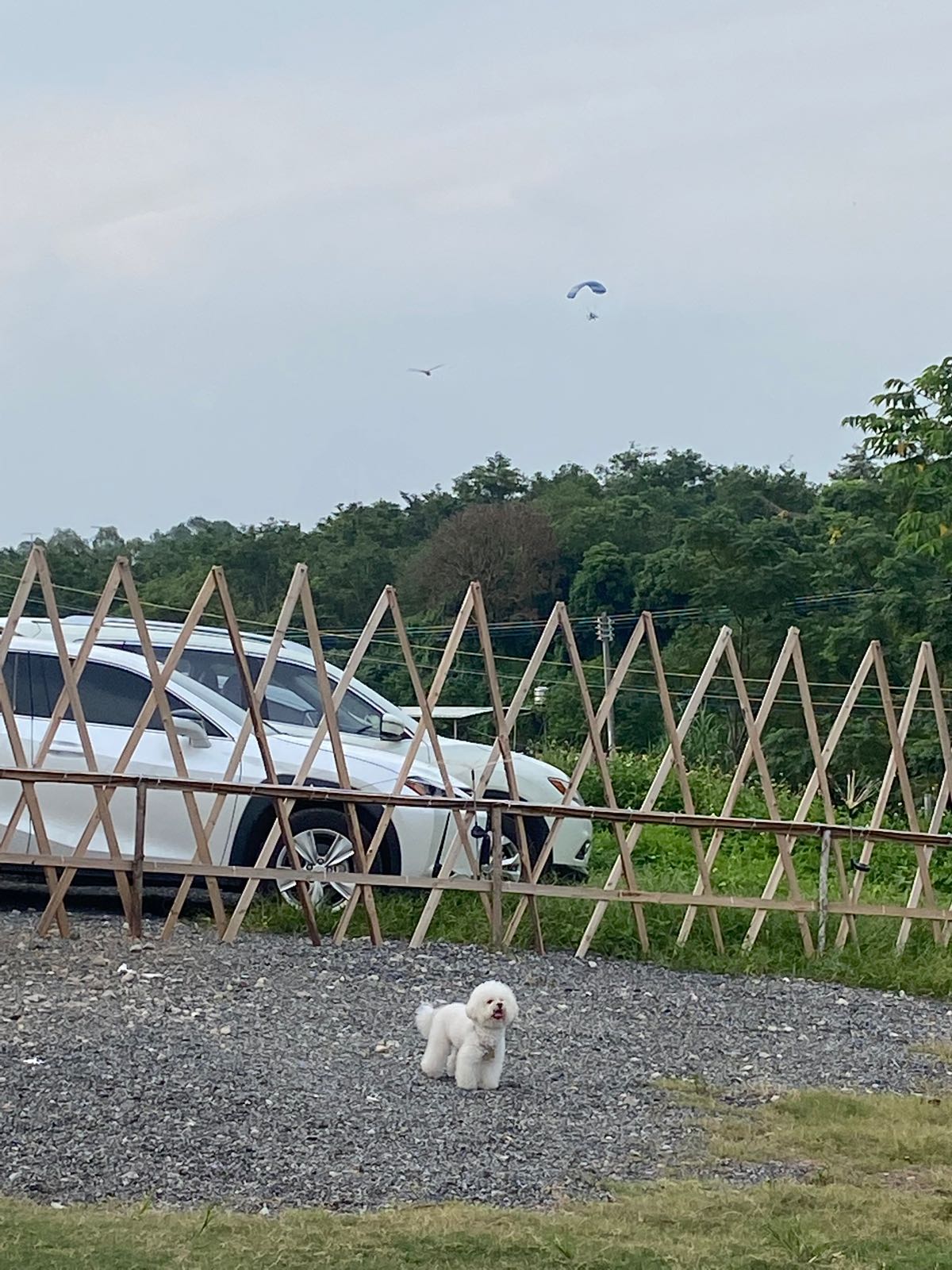 遇见露营地