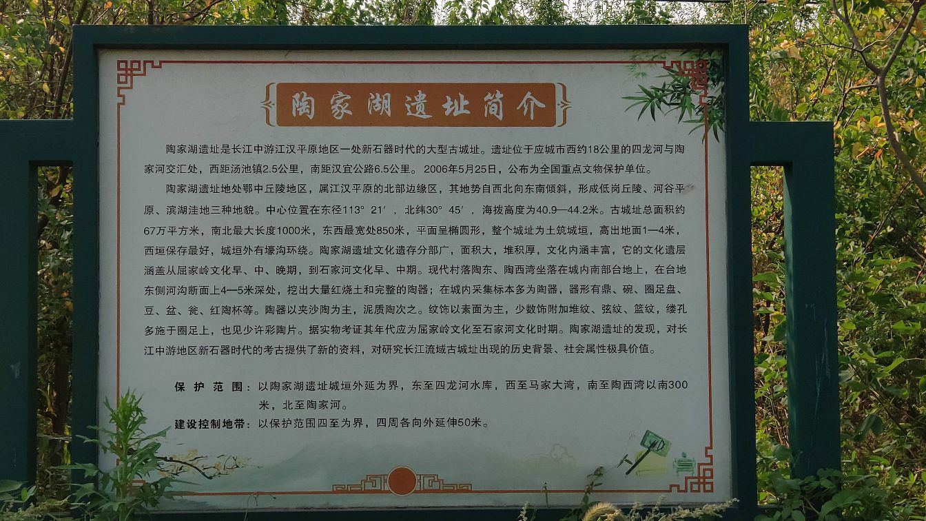 陶家湖城遗址