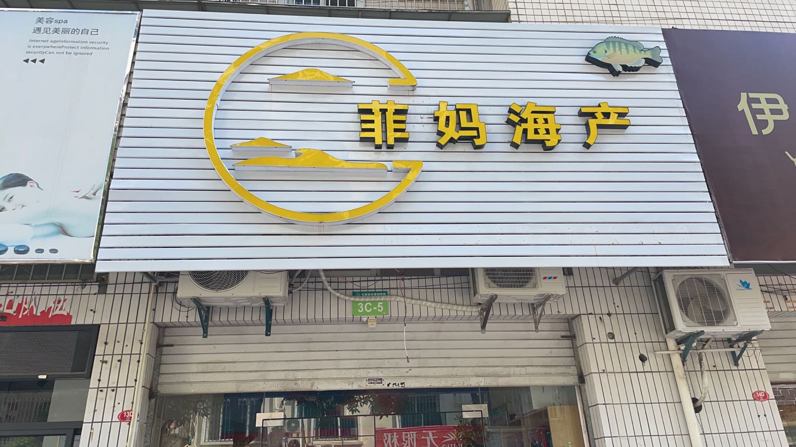 小瞽菲妈求海产