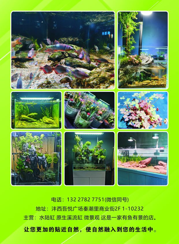 奇遇自然水族·生态景观(西安沣西吾悦广场店)
