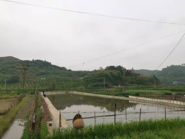 重庆市大足区大自然水果专业合作社