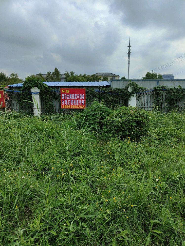 环城废旧金属报废车回收