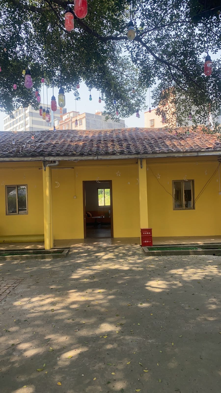 横沥田园日记·网红露营打卡地