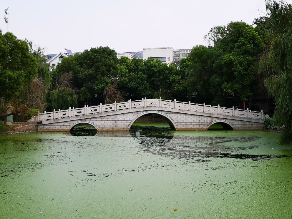 青阳公园