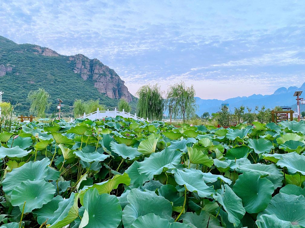 河北省涉县清漳河国家湿地公园