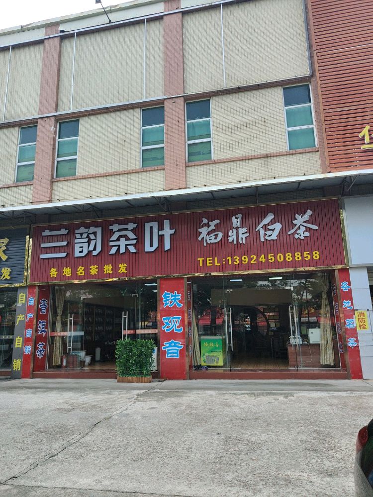 兰韵茶行日泉印象福鼎白茶