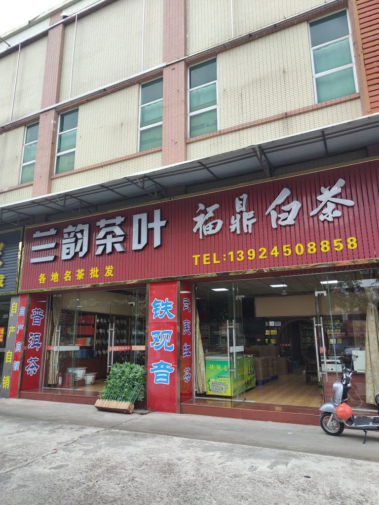 兰韵茶行日泉印象福鼎白茶