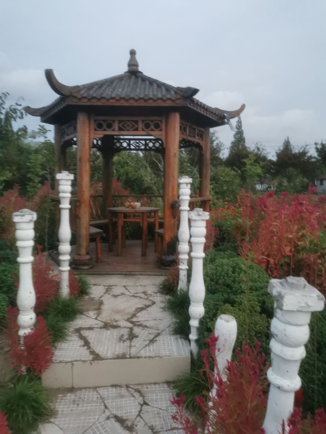 垂钓园