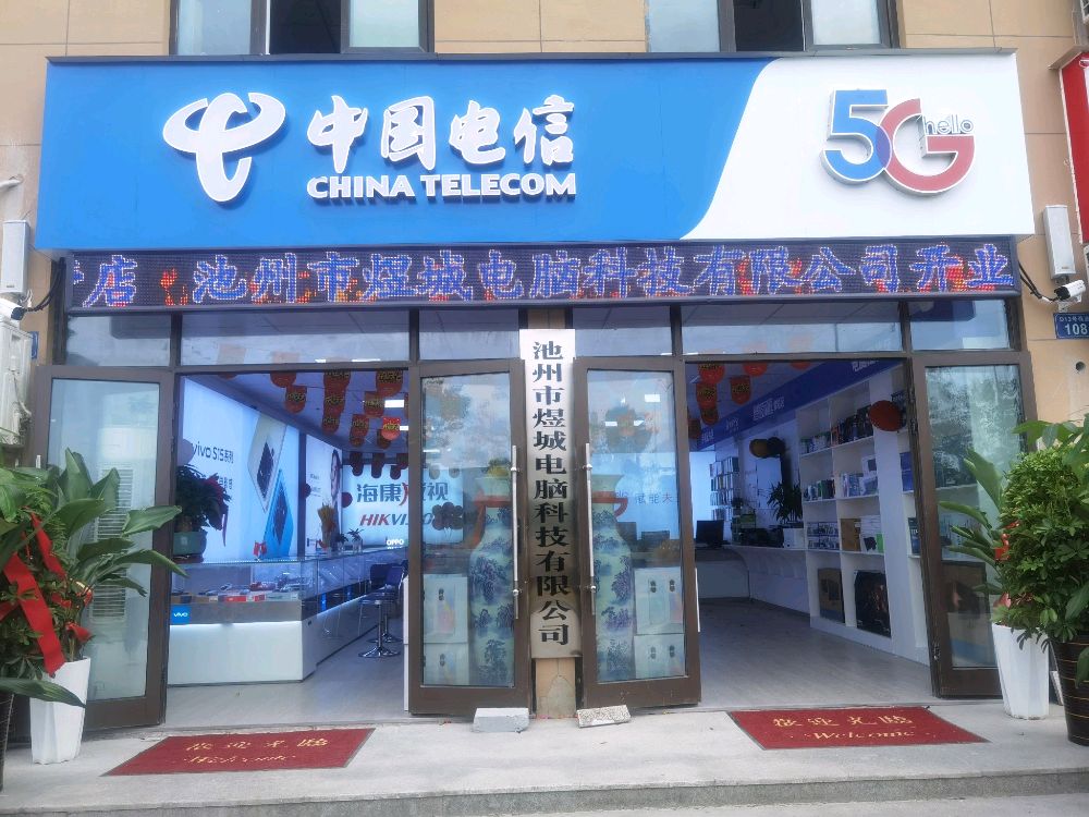 中国电信煜城电脑监控(凤鸣大道营业厅)