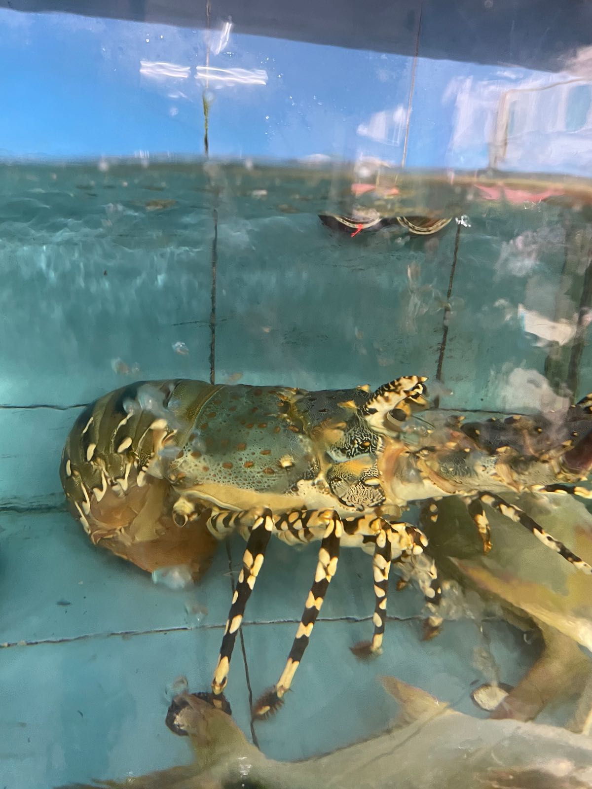 亮均水产店(茶亭店)