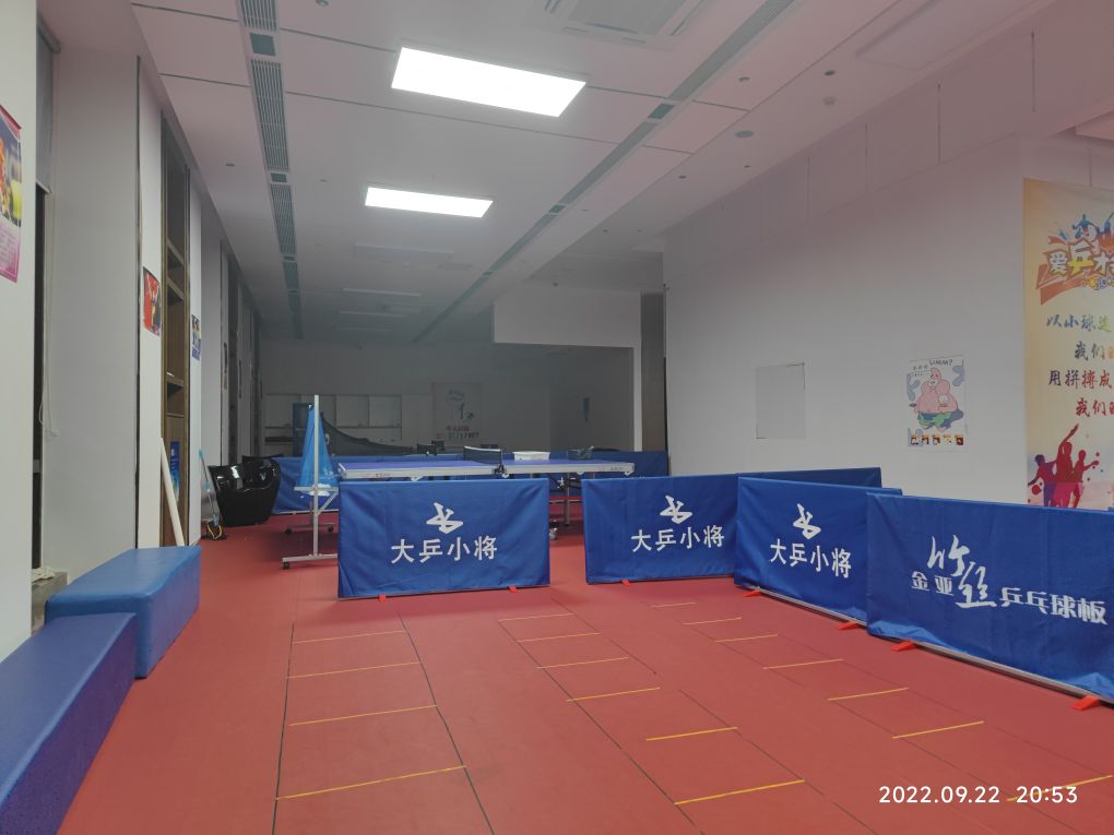 大乒小将乒乓球训练中心