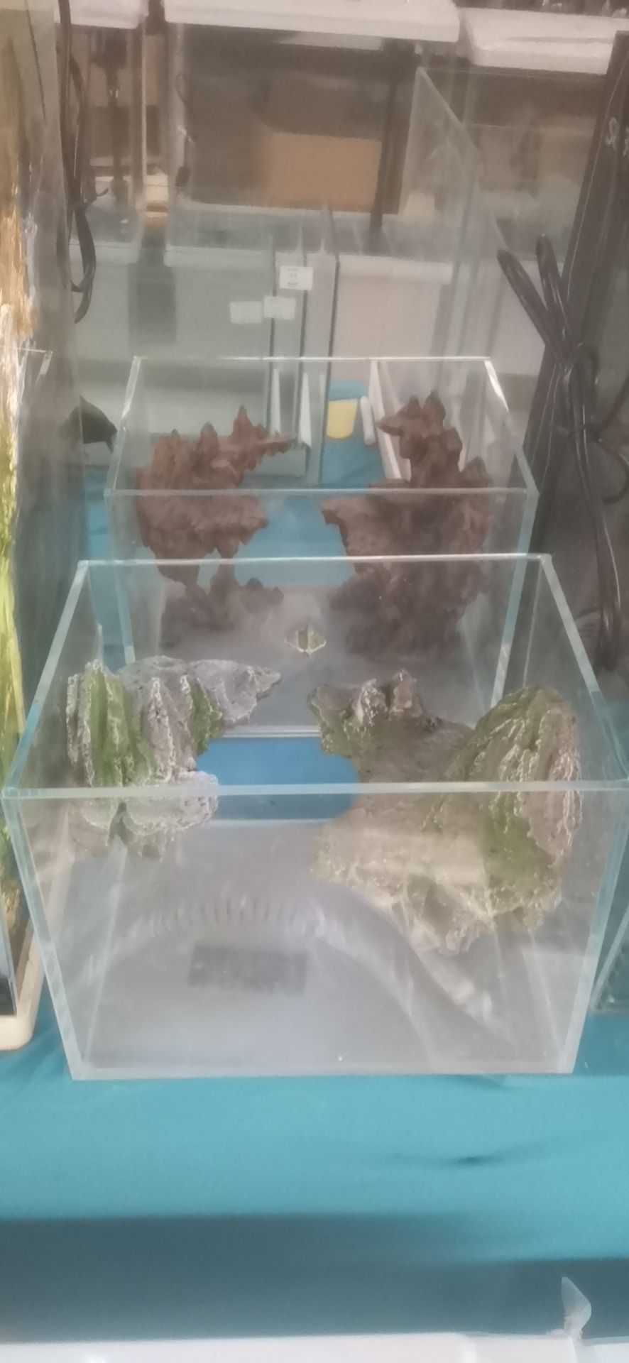 沃锋水族管(花卉大世界店)