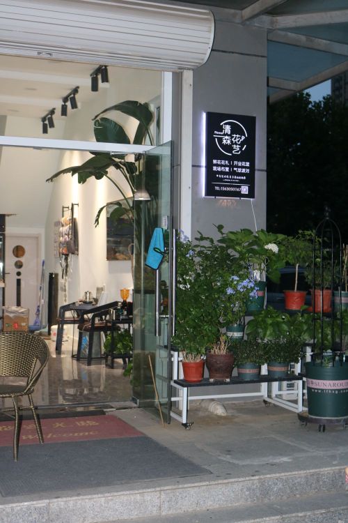清森花艺(铂悦派店)