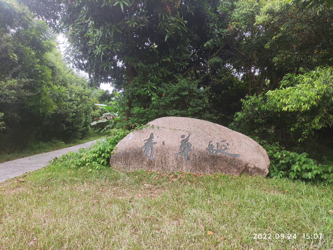石岩环湖碧道青草排公园