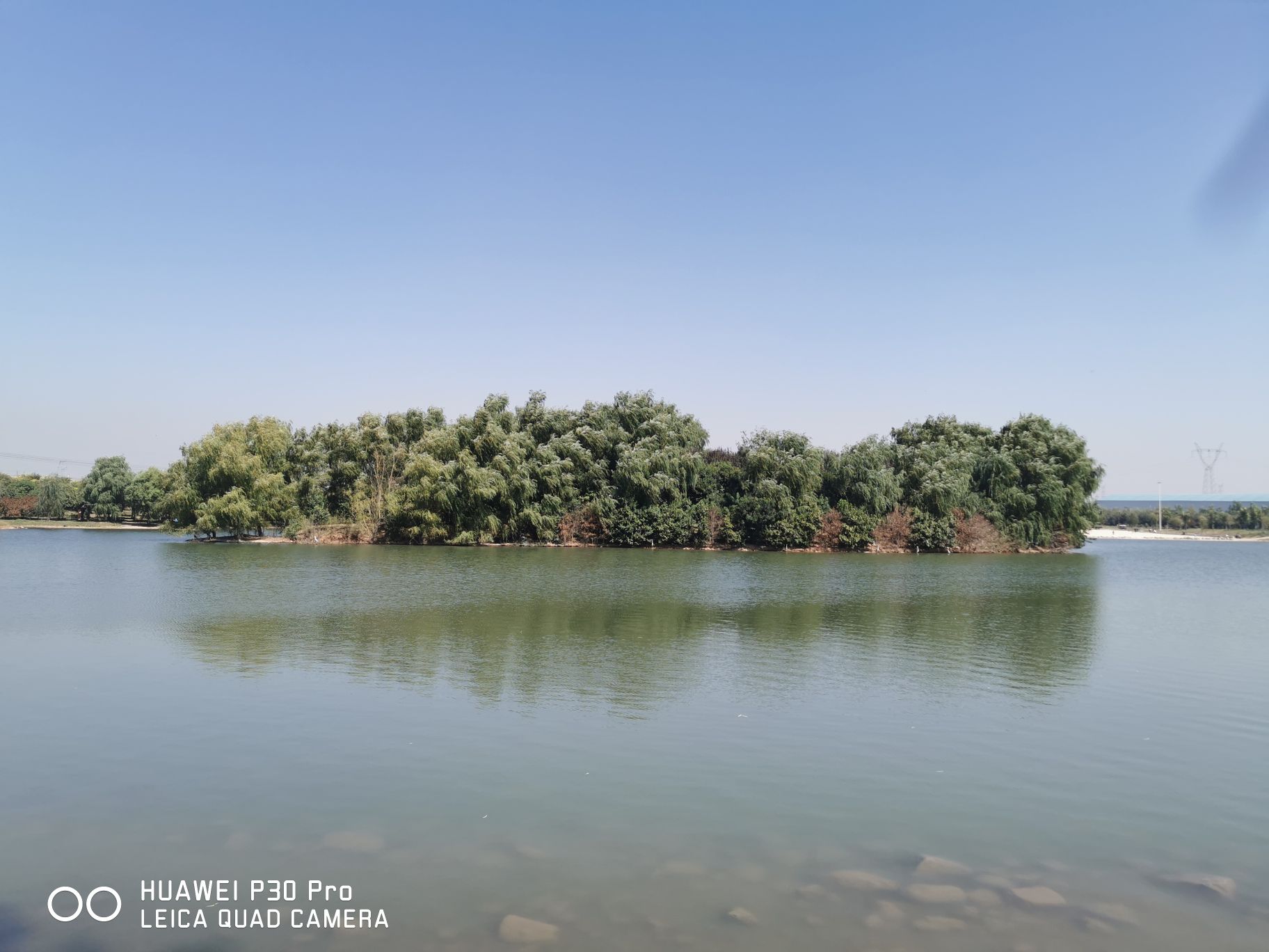 白鹭湿地公园