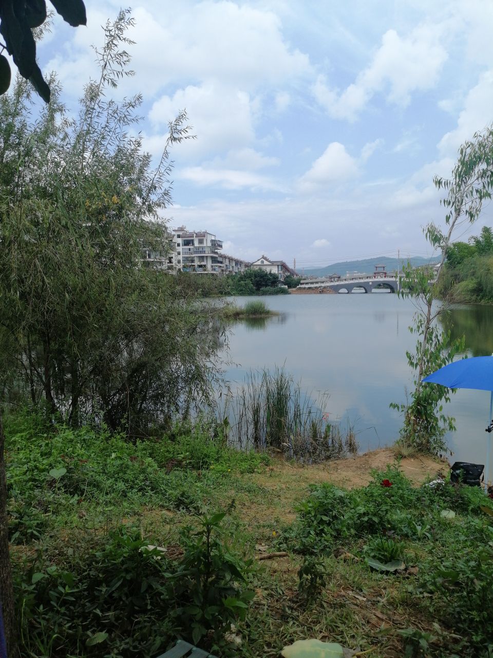 南山公园