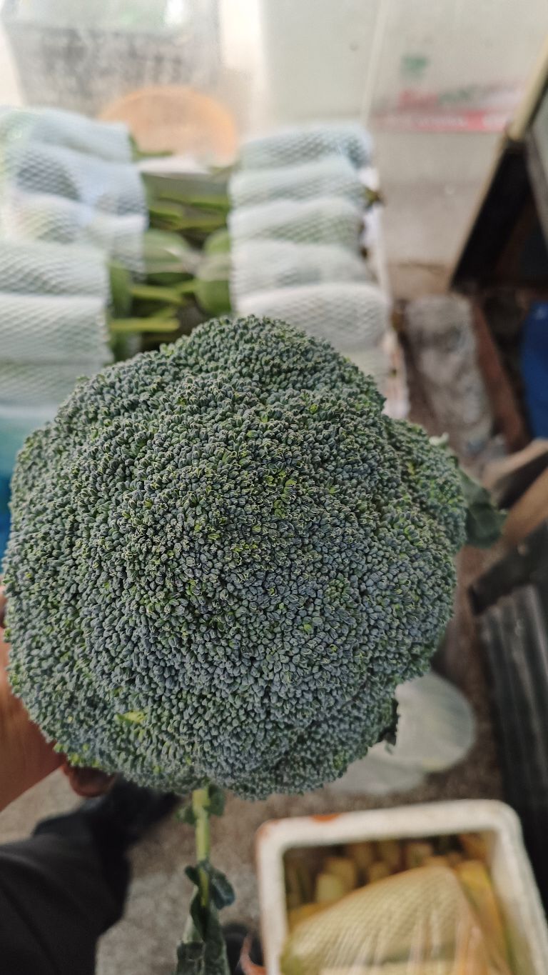 熊大果蔬生鲜超市