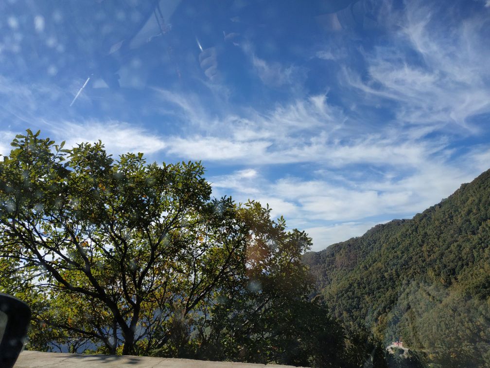 百花山、主