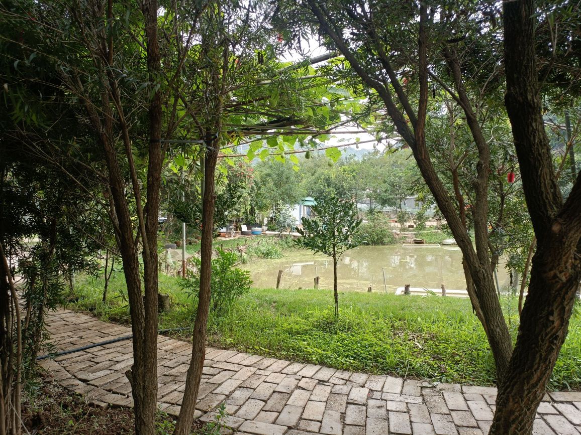 棕榈岛休闲垂钓园