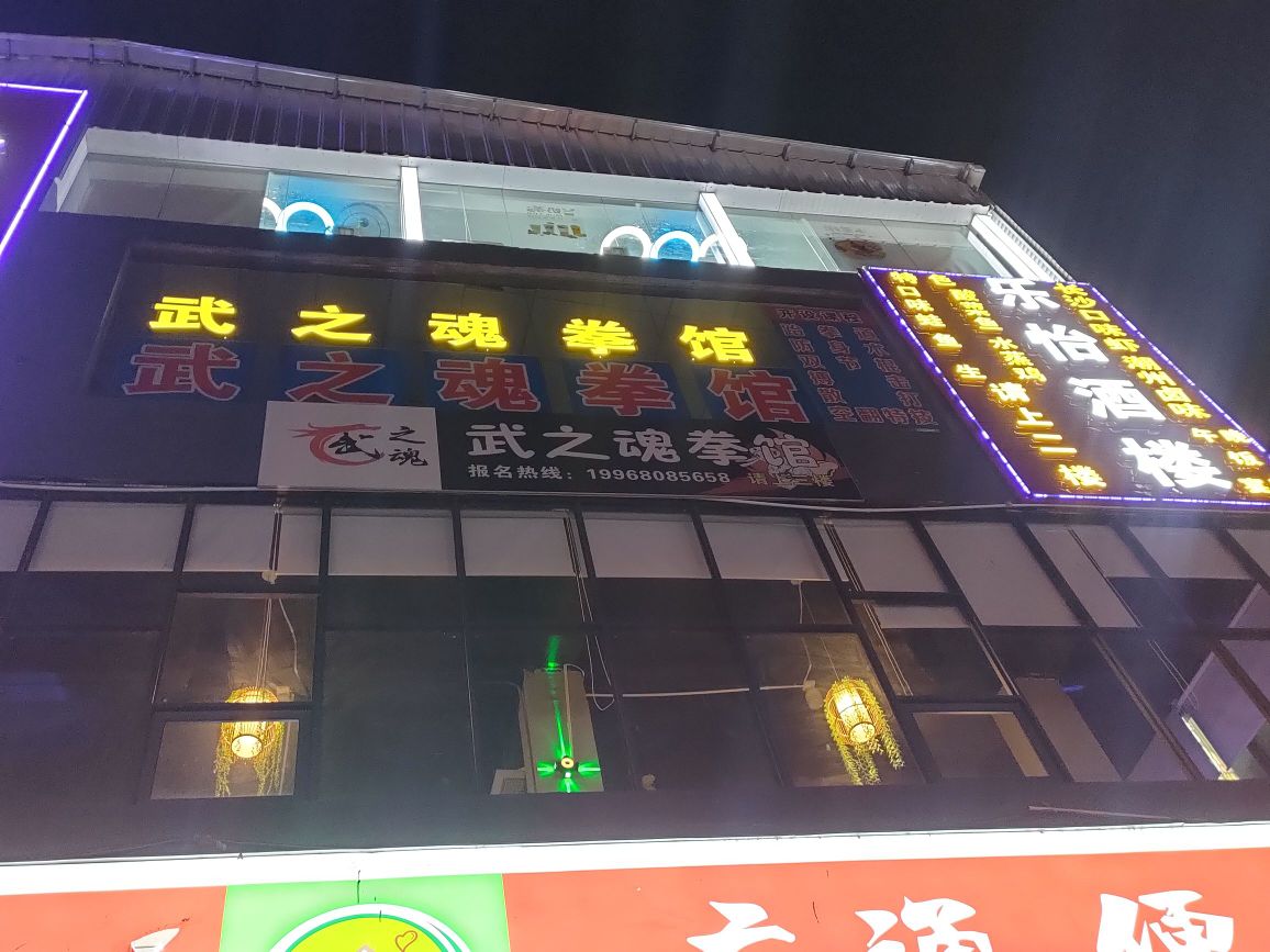 魂之武拳馆