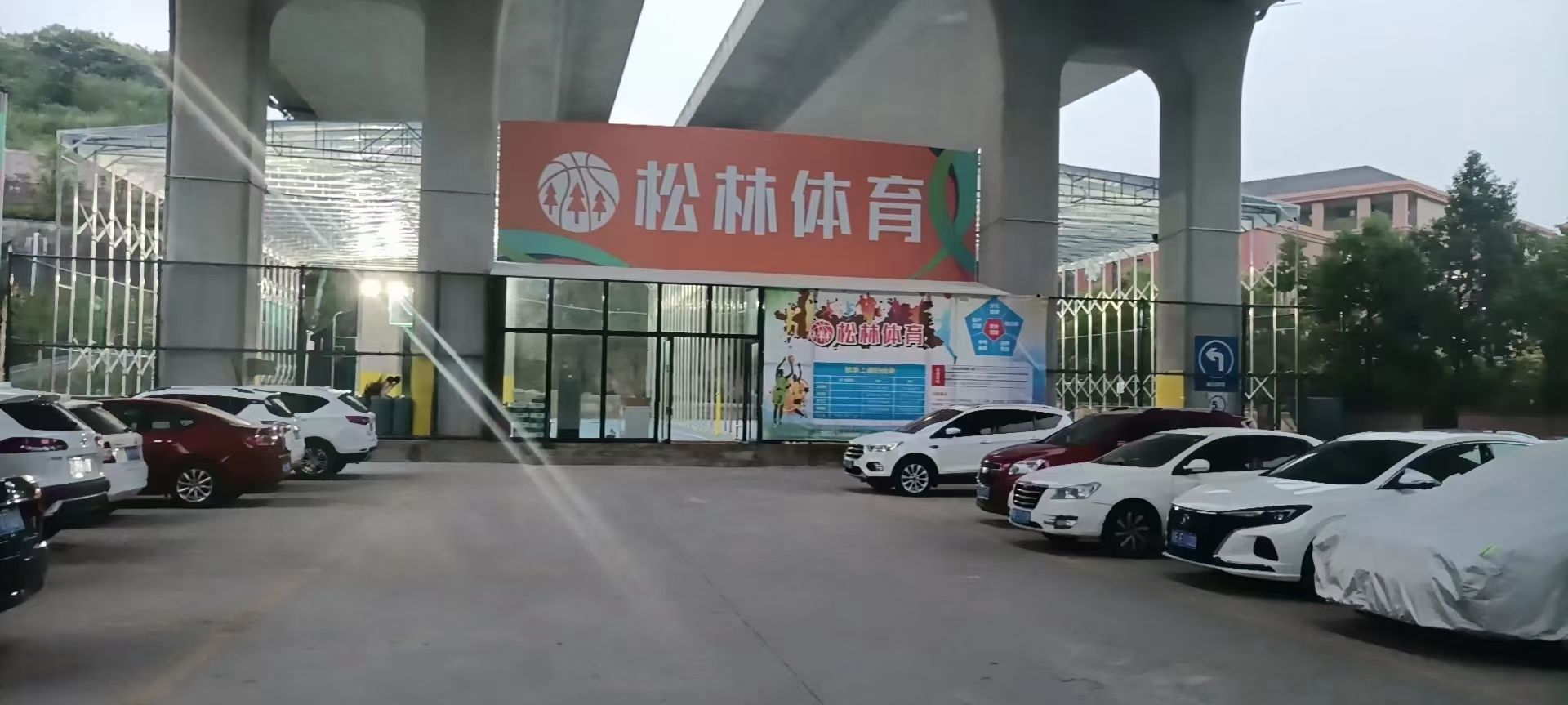 松林体育篮球俱乐部