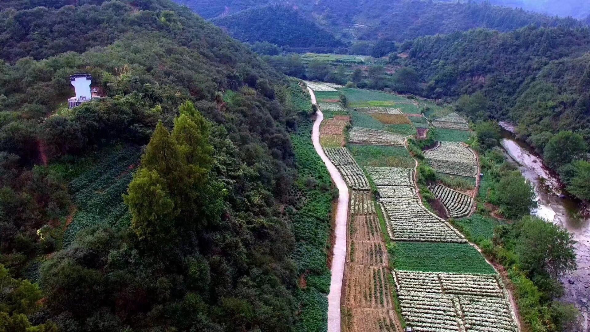 没穿村