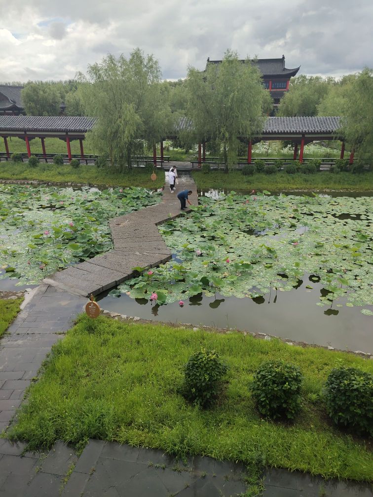 大安县嫩江湾国家湿地公园-外滩