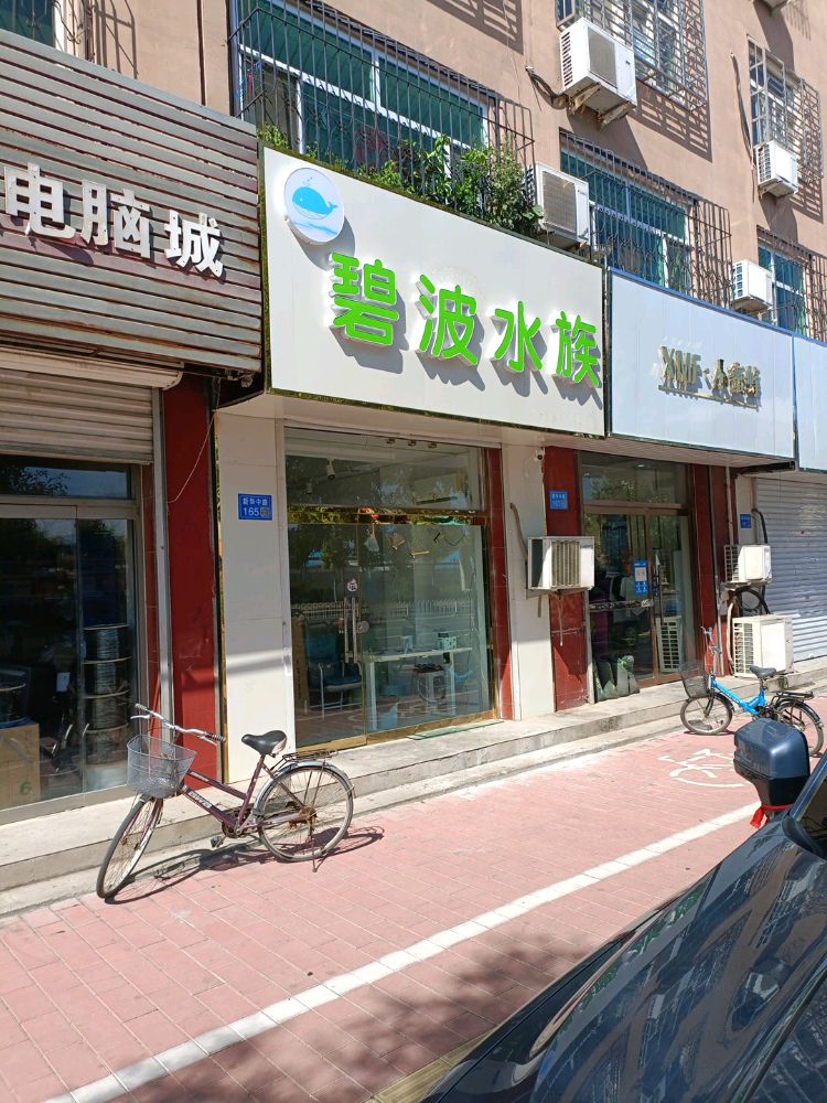 碧碧水族(新华中路店)