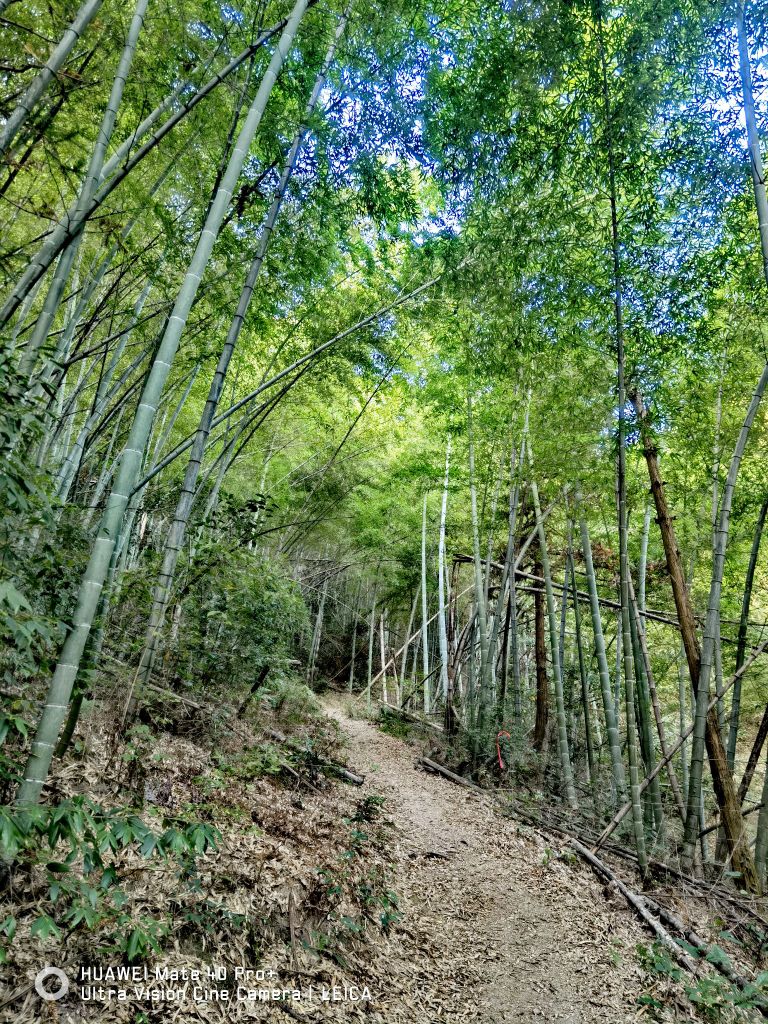 浙江省陆地中心点