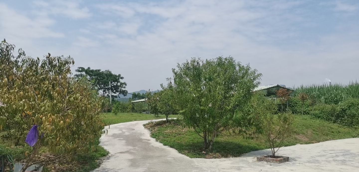 思练填高岭休闲山庄牛杂烧烤城