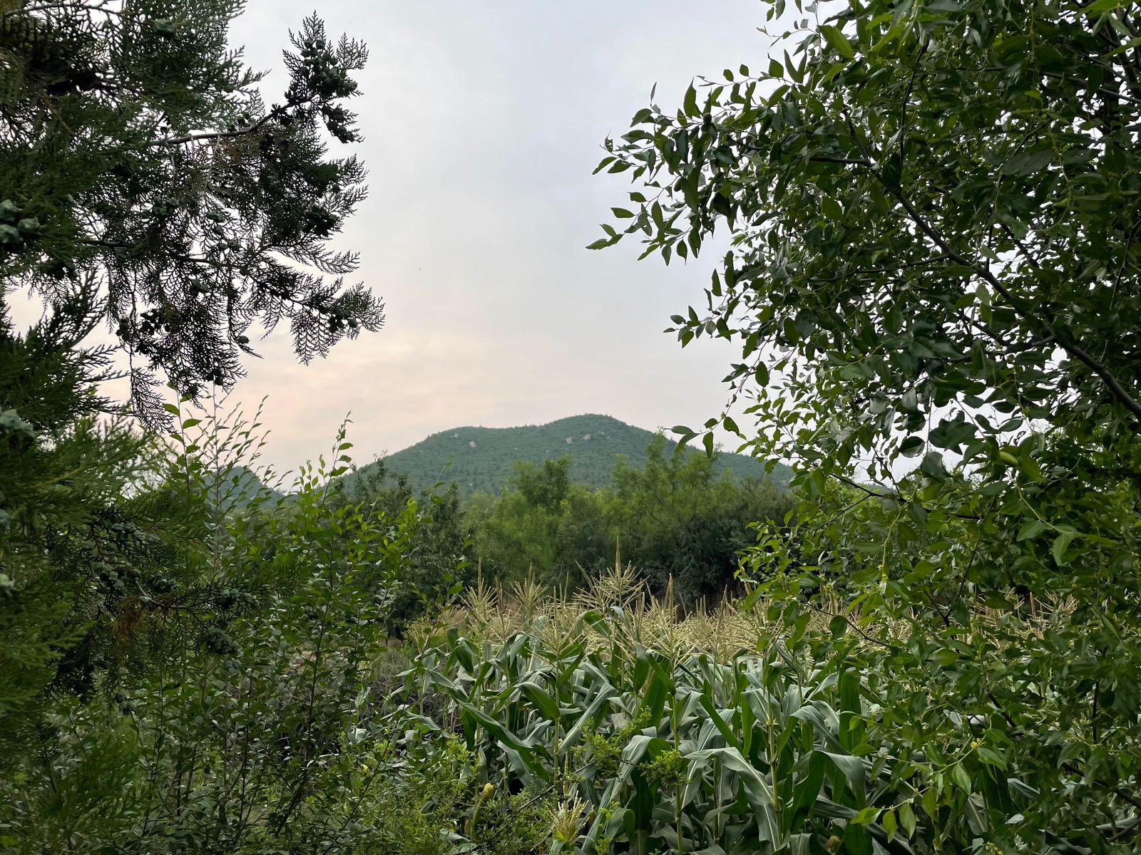 八达岭镇小浮坨村