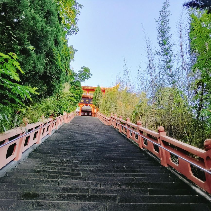 弥陀寺院