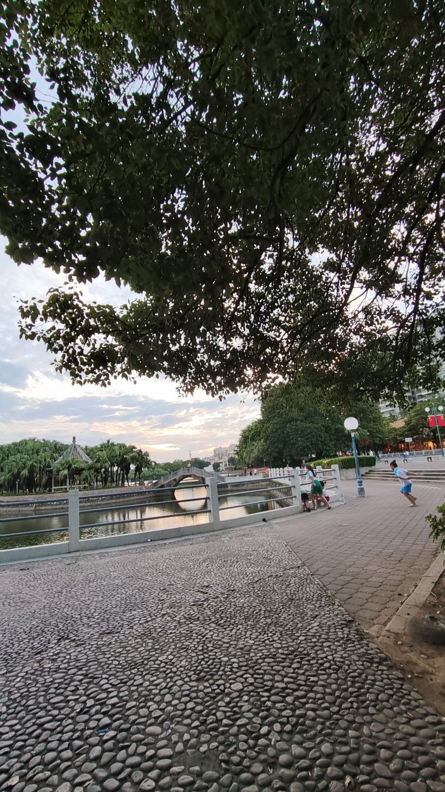 葵湖公园