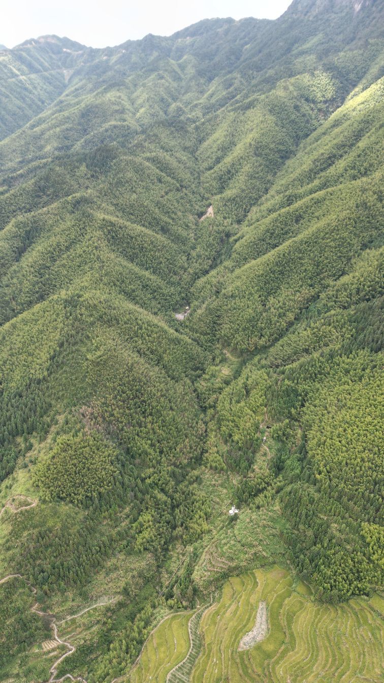 无山梯田