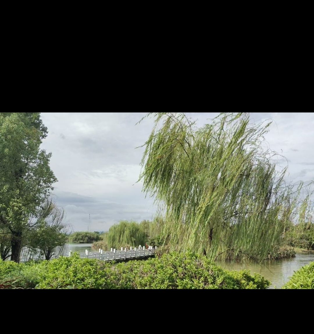 田东县城西湿地公园