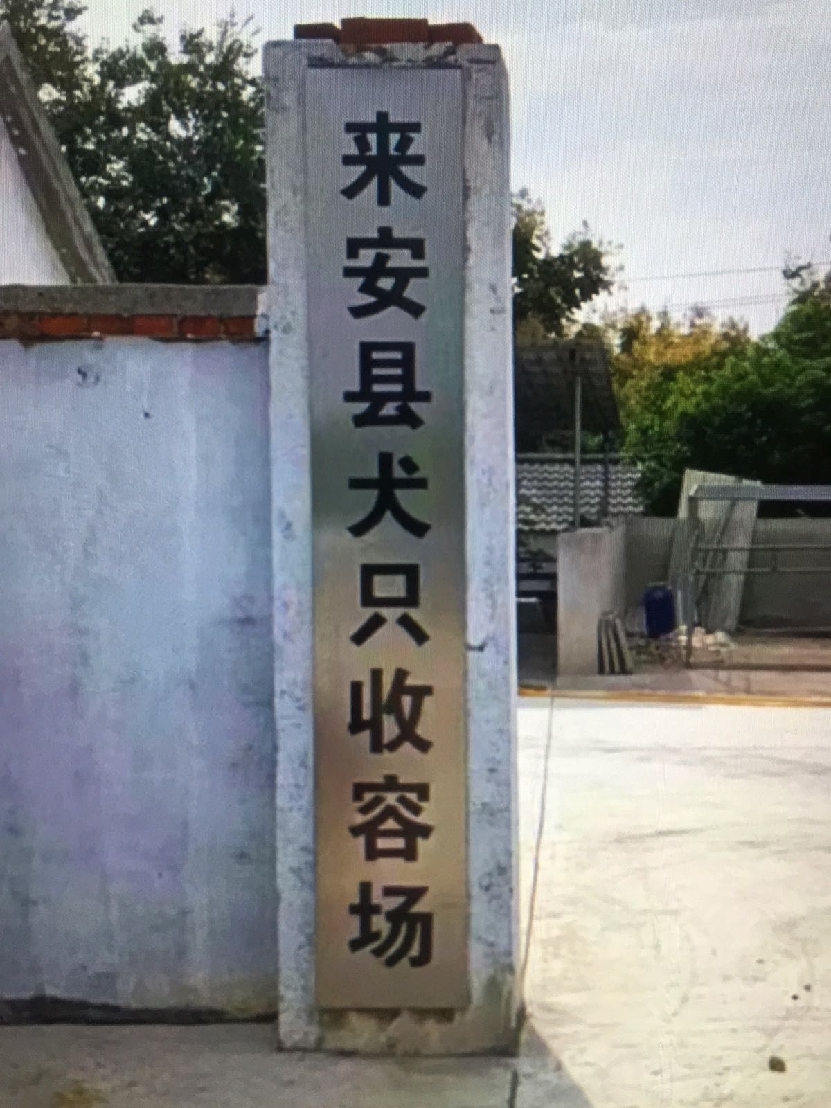 来安县犬只收容场