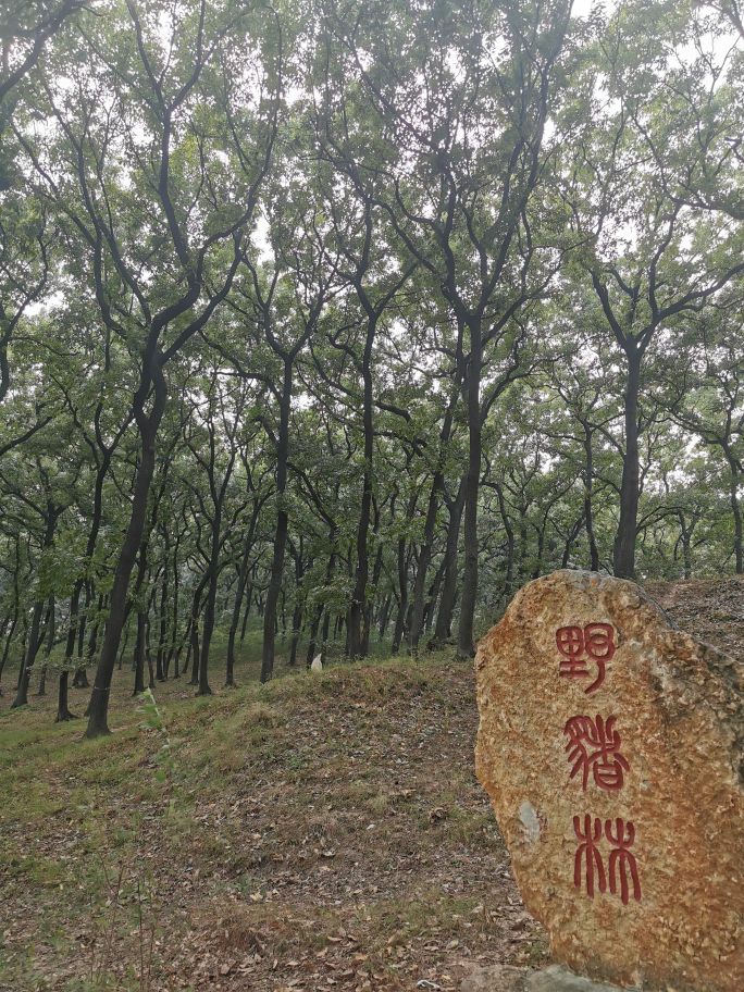 皇藏峪国家森林公园-龙泉寺