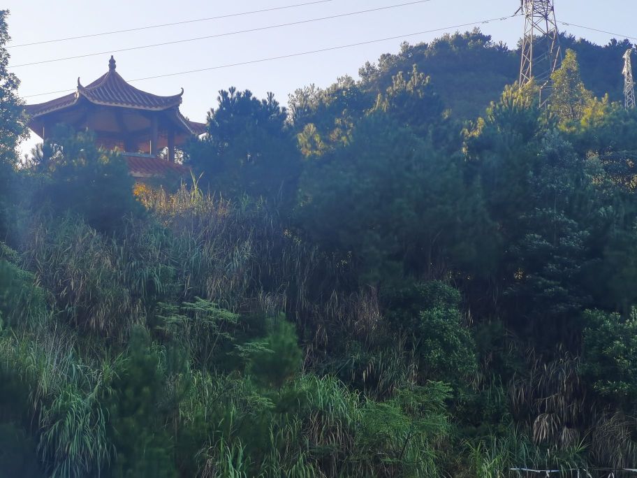 钱排森林公园