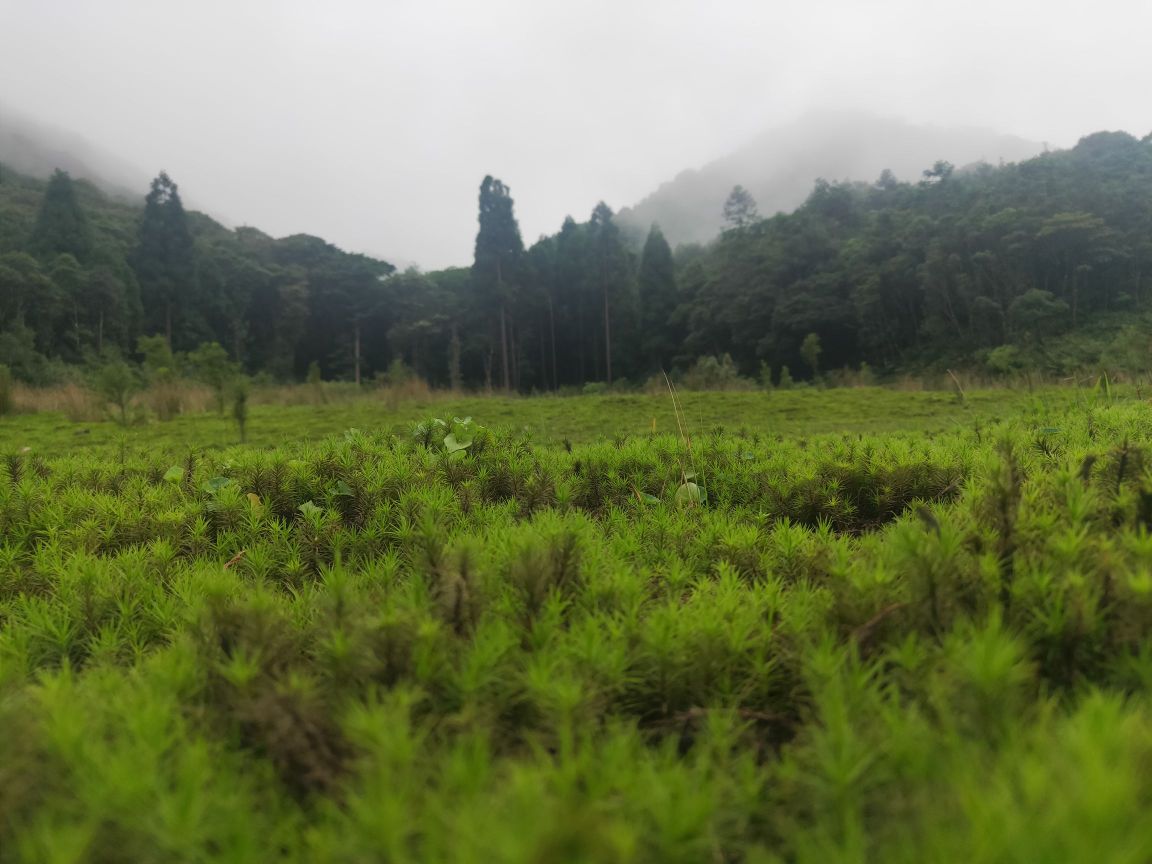 广东云开山国家级自然保护区