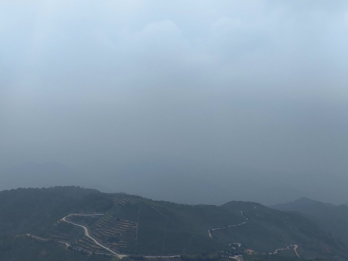 羊岩山茶文化园景区