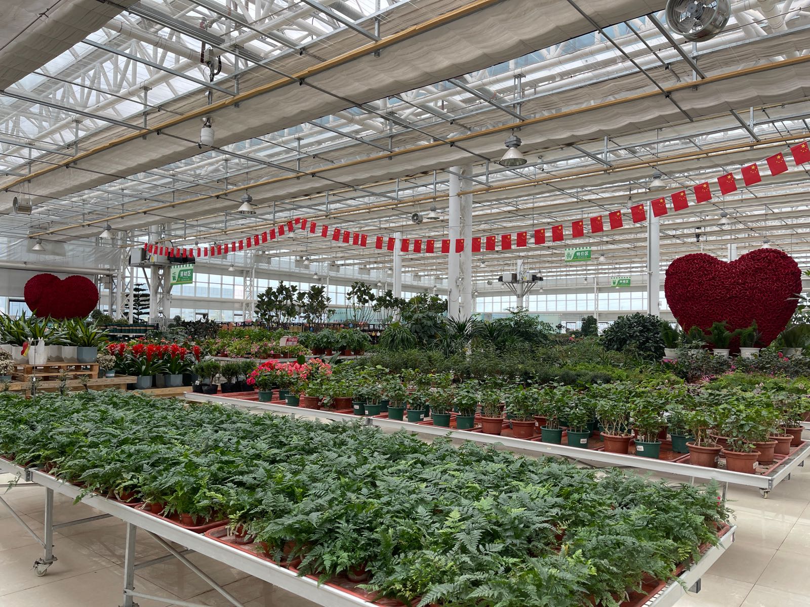 兰州新区农投花卉交易中心(昆明国际花卉中心西北分中心)